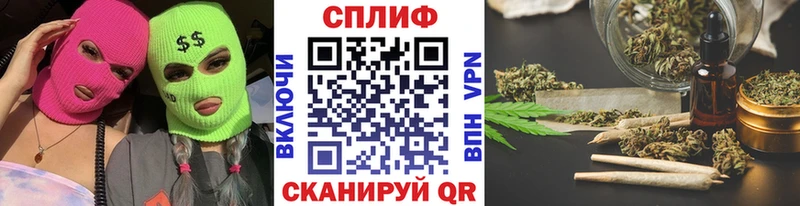 Каннабис конопля Шенкурск
